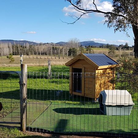 The Wattle Lodge Glendon Brook Bagian luar foto