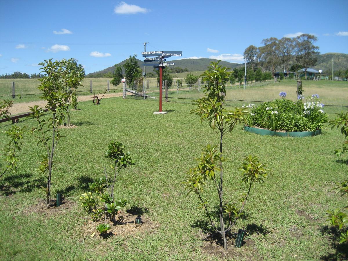 The Wattle Lodge Glendon Brook Bagian luar foto