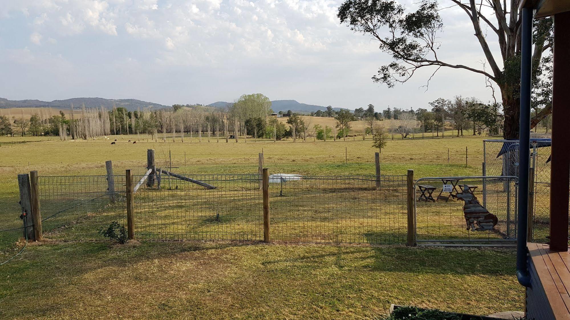 The Wattle Lodge Glendon Brook Bagian luar foto